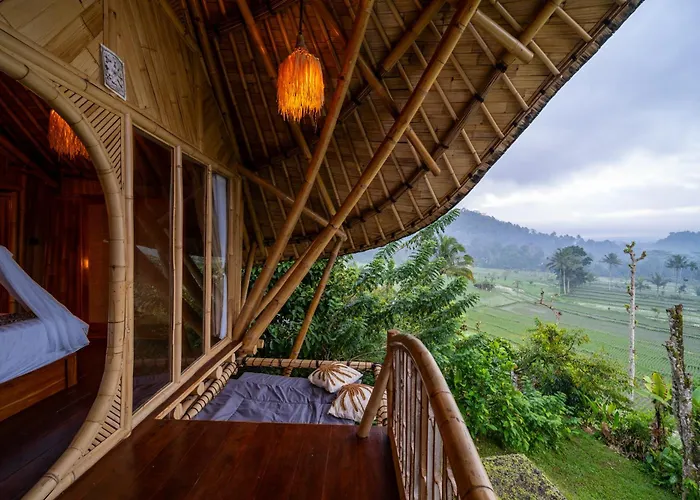 Avina - Neve's Bamboo Selat